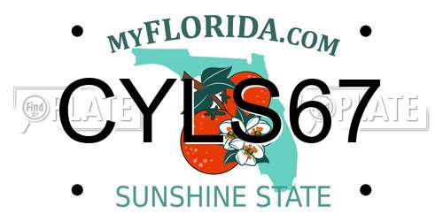 CYLS67 Florida License Plate