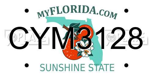CYM3128 Florida License Plate