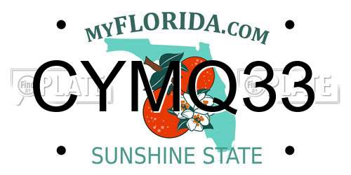 CYMQ33 Florida License Plate