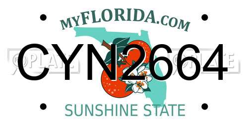 CYN2664 Florida License Plate
