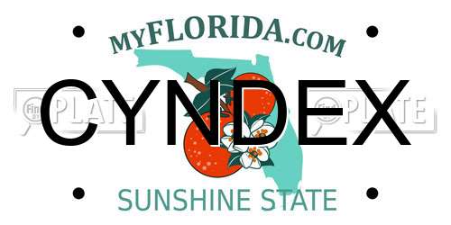 CYNDEX Florida License Plate