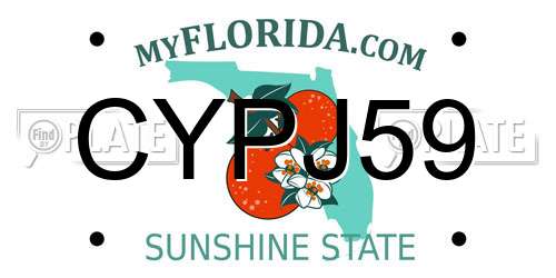 CYPJ59 Florida License Plate