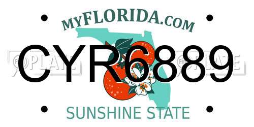 CYR6889 Florida License Plate