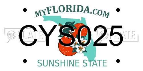 CYS025 Florida License Plate