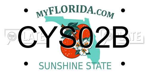CYS02B Florida License Plate
