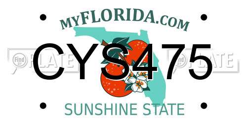 CYS475 Florida License Plate