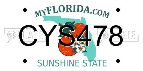 CYS478 Florida License Plate