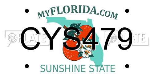 CYS479 Florida License Plate