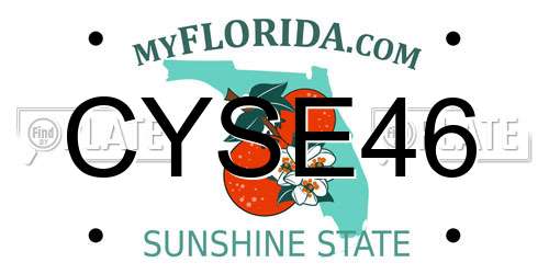 CYSE46 Florida License Plate