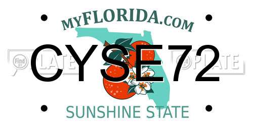 CYSE72 Florida License Plate