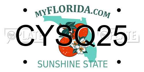 CYSQ25 Florida License Plate