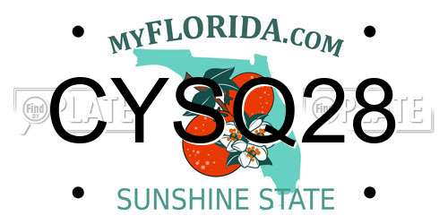 CYSQ28 Florida License Plate