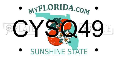CYSQ49 Florida License Plate