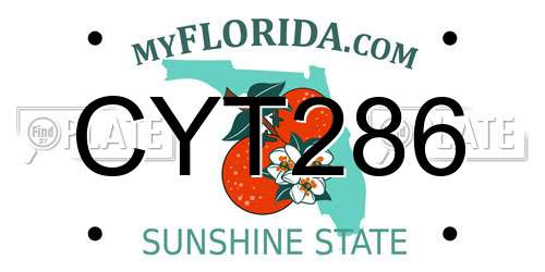 CYT286 Florida License Plate