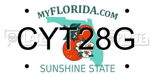 CYT28G Florida License Plate