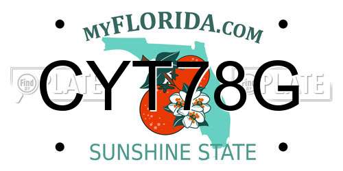 CYT78G Florida License Plate