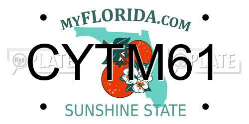 CYTM61 Florida License Plate