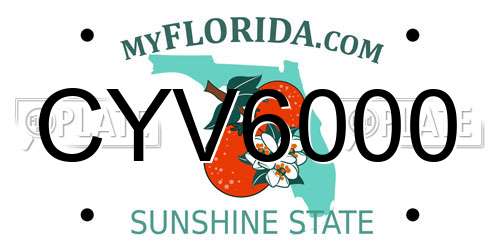 CYV6000 Florida License Plate