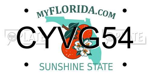 CYVG54 Florida License Plate