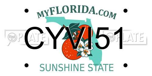 CYVI51 Florida License Plate