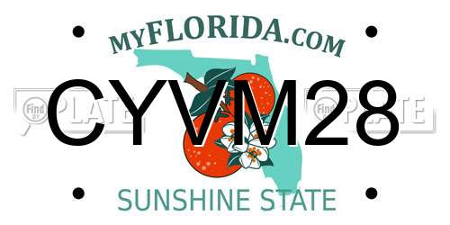 CYVM28 Florida License Plate