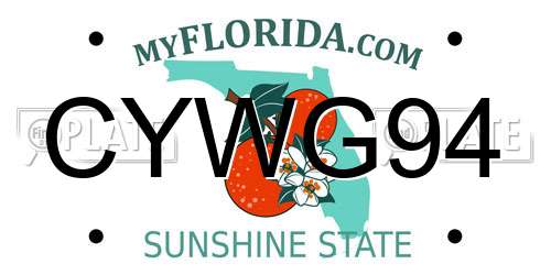CYWG94 Florida License Plate