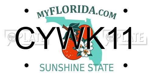 CYWK11 Florida License Plate
