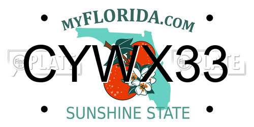 CYWX33 Florida License Plate