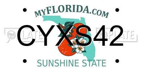 CYXS42 Florida License Plate
