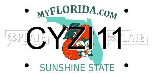 CYZI11 Florida License Plate