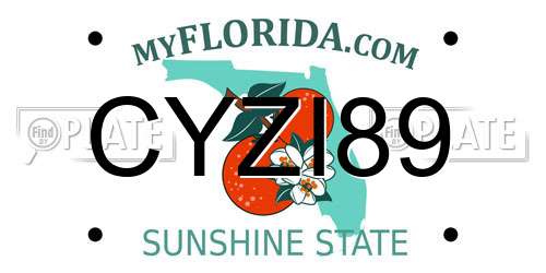 CYZI89 Florida License Plate