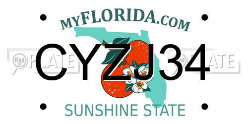 CYZJ34 Florida License Plate