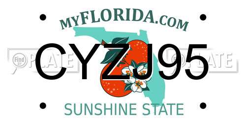CYZJ95 Florida License Plate