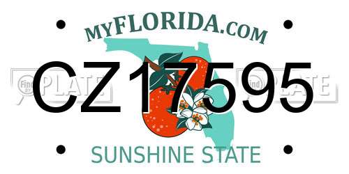 CZ17595 Florida License Plate