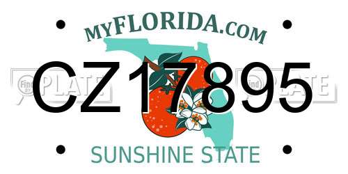 CZ17895 Florida License Plate