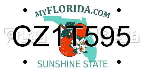 CZ1T595 Florida License Plate