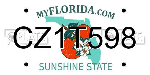 CZ1T598 Florida License Plate