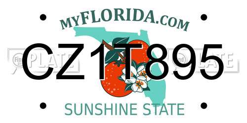 CZ1T895 Florida License Plate