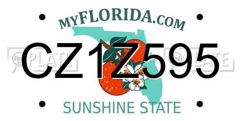 CZ1Z595 Florida License Plate