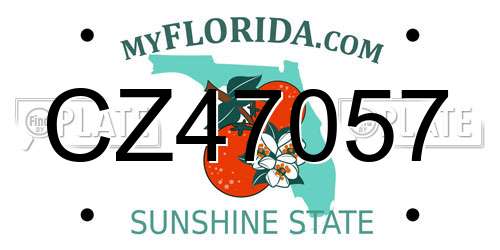CZ47057 Florida License Plate