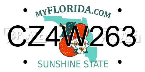 CZ4W263 Florida License Plate