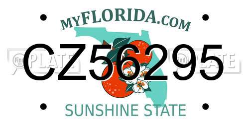 CZ56295 Florida License Plate