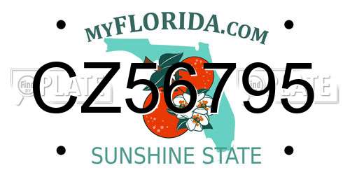 CZ56795 Florida License Plate