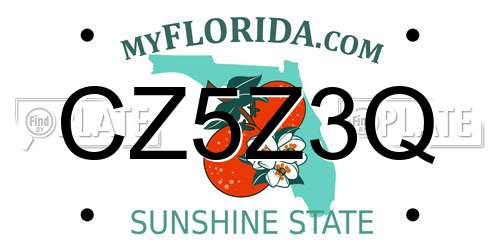 CZ5Z3Q Florida License Plate
