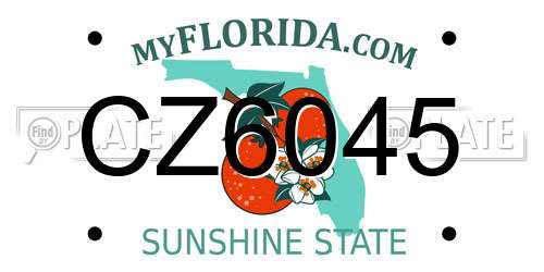 CZ6045 Florida License Plate