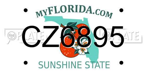 CZ6895 Florida License Plate
