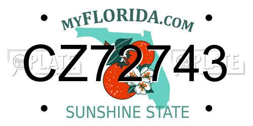 CZ72743 Florida License Plate