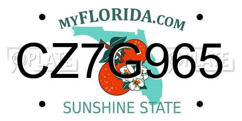 CZ7G965 Florida License Plate