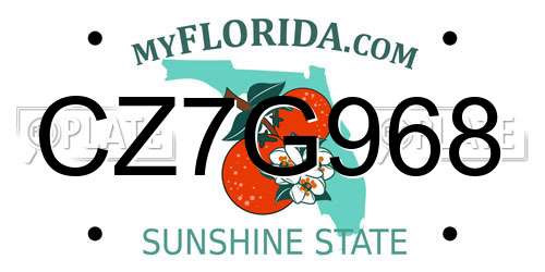 CZ7G968 Florida License Plate