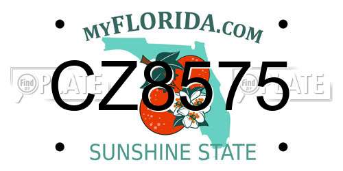 CZ8575 Florida License Plate